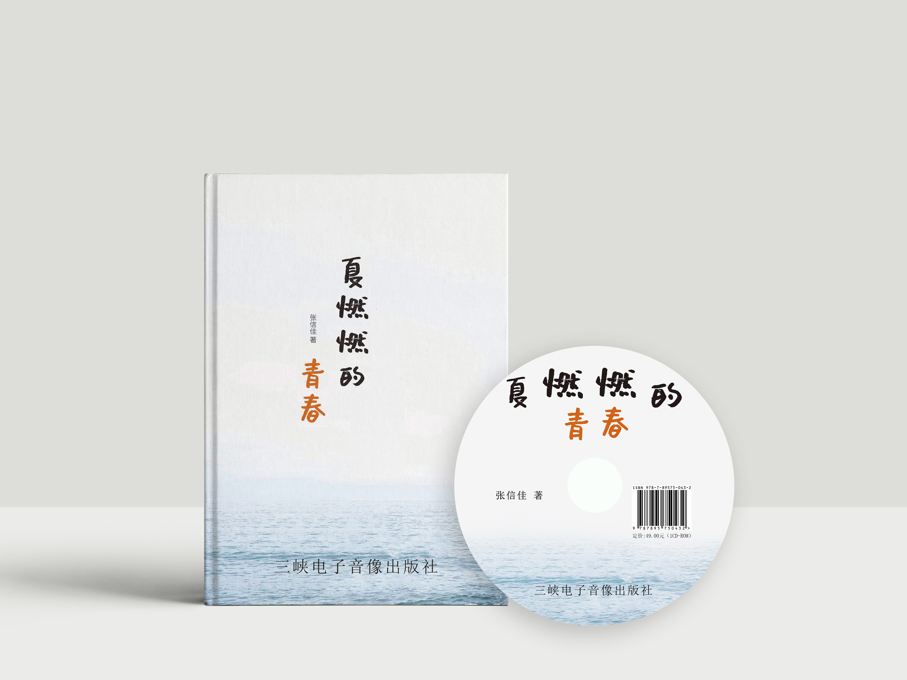 夏燃燃的青春2